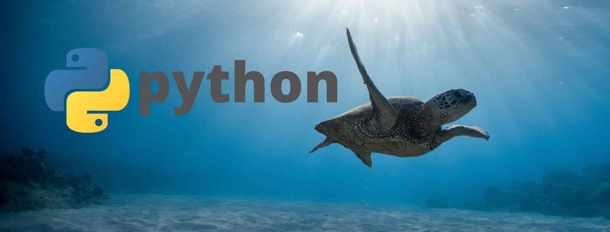 python2-min-min.jpeg