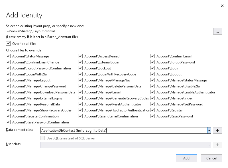 02-vs-add-scaffolded-identity.png