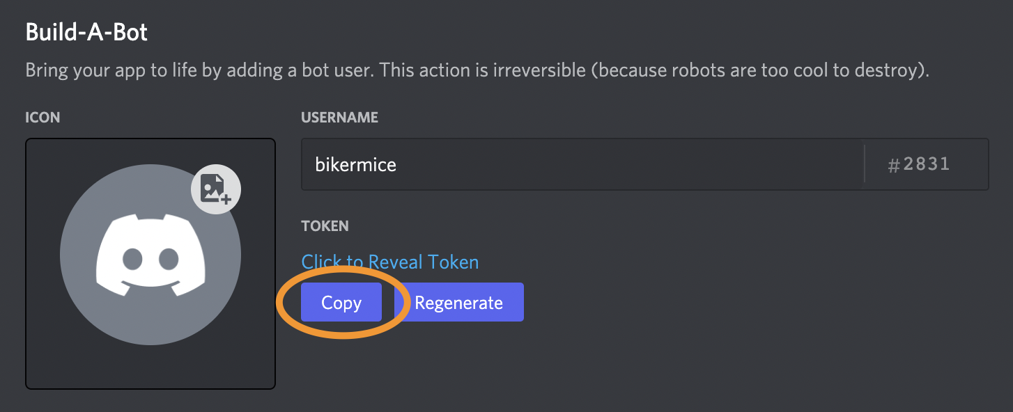 Retrieving the bot token
