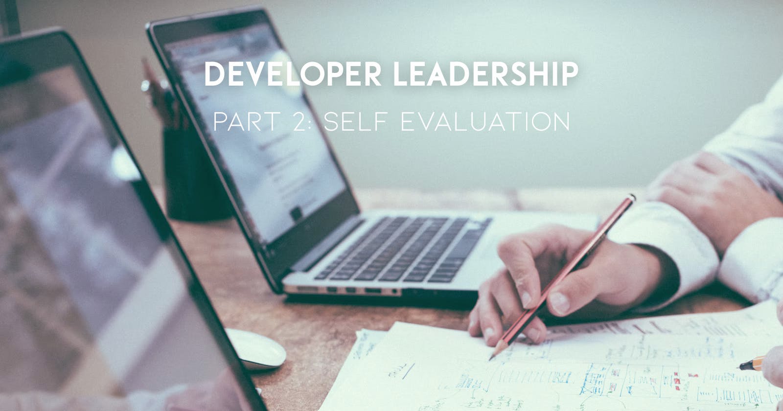 Developer Leadership