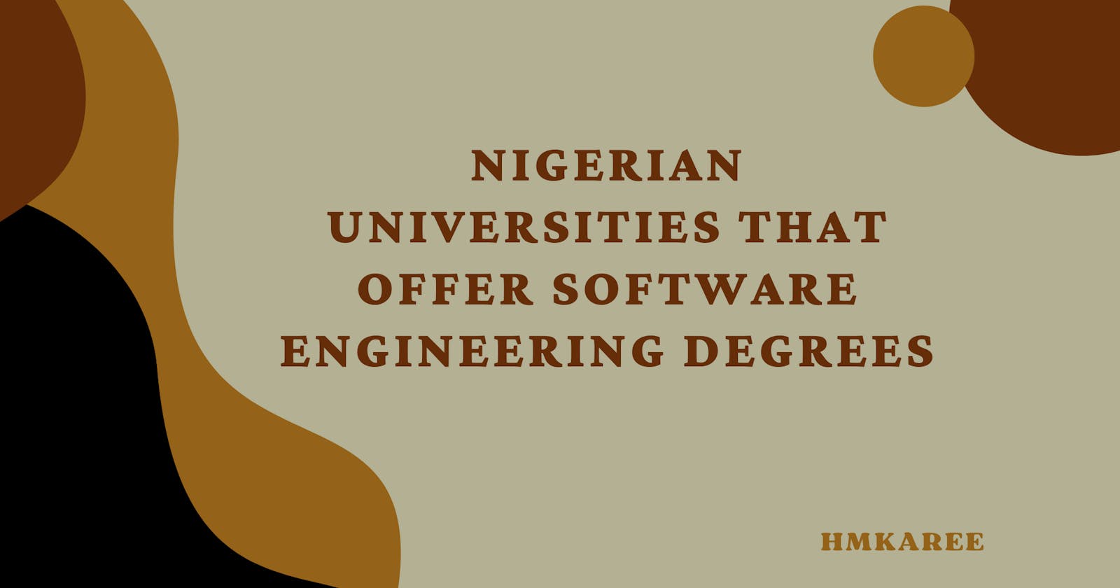 Nigerian Universities that offer software engineering degrees
