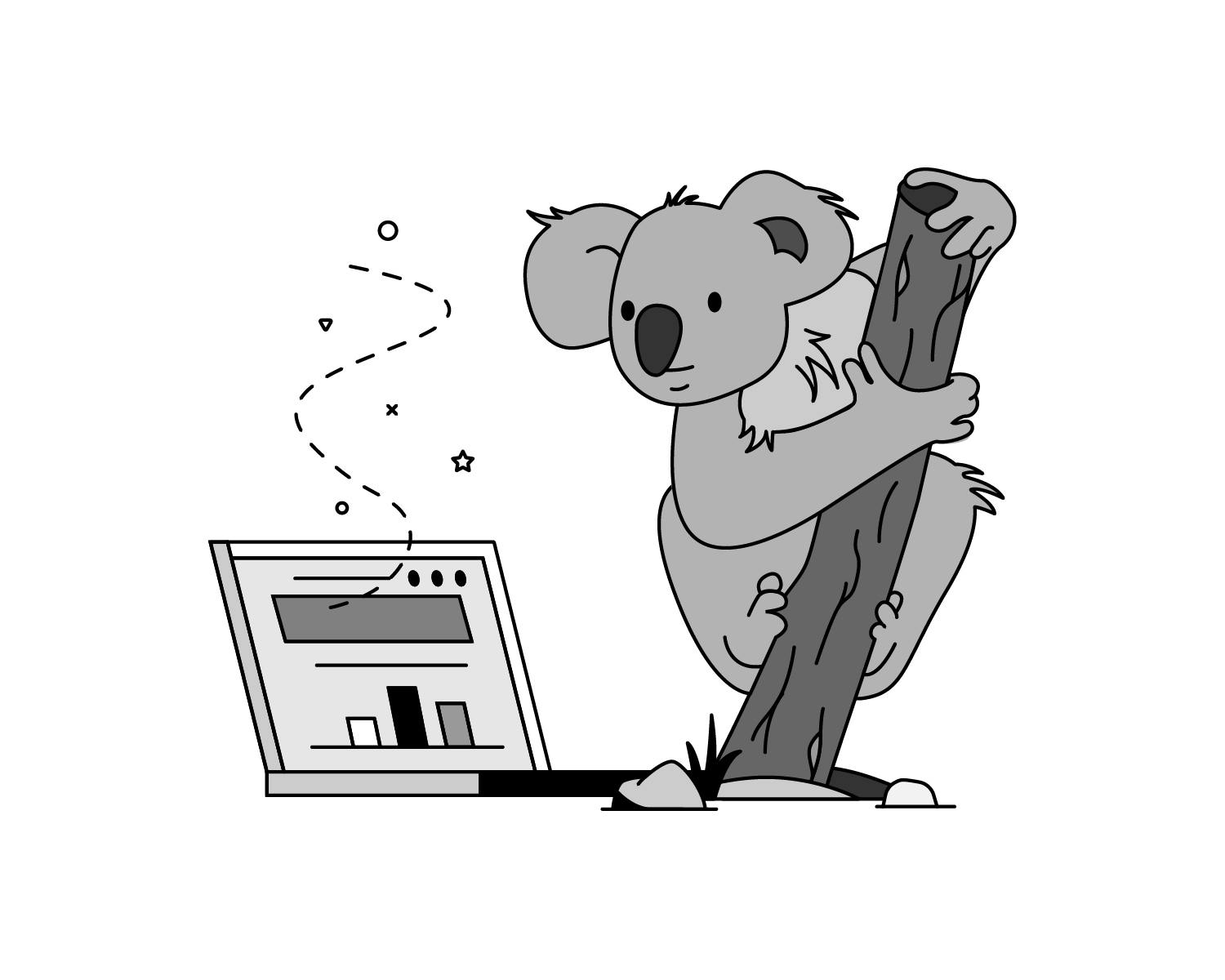 A koala glancing thoughtfully at a laptop
