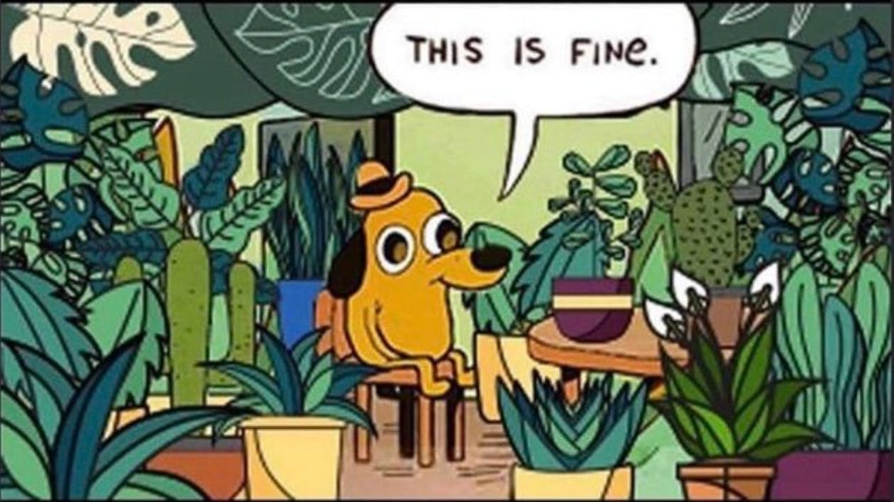 this is fine meme, but instead of the dog being surrounded by fire, its surrounded by house plants