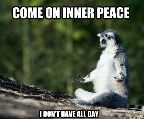 a lemur, sitting like it is meditating "come on inner peace I don't have all day"