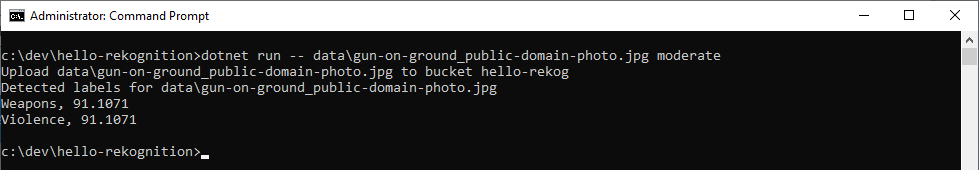 dotnet-run_moderate_gun.png
