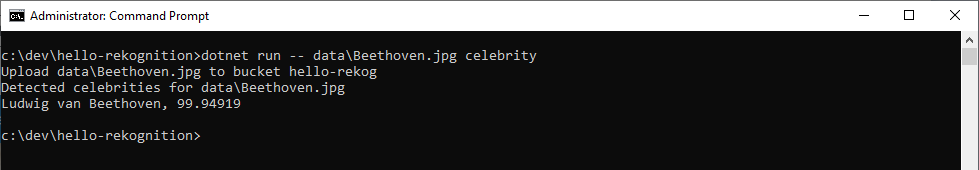 dotnet-run_celebrity_beethoven.png