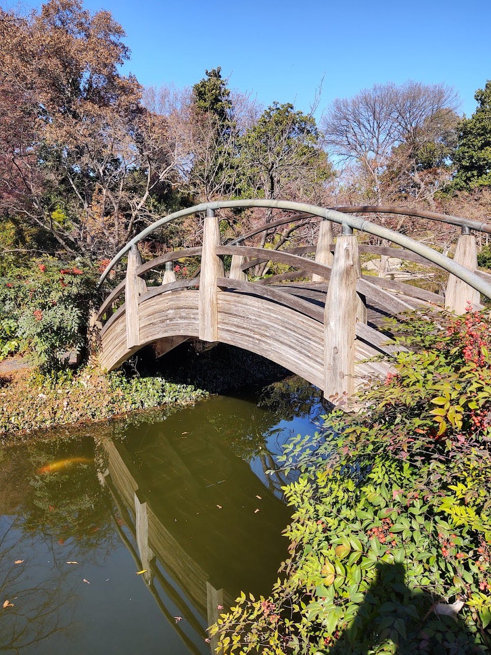 botanic_garden_bridge.jpg