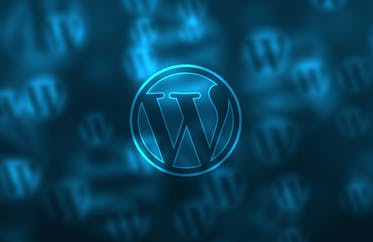 wordpress web speed improve.png