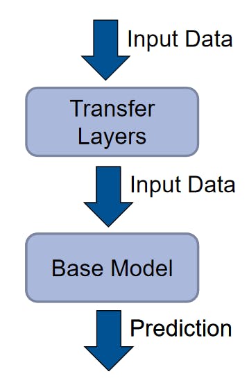 The transfer layers are on top of the base model.