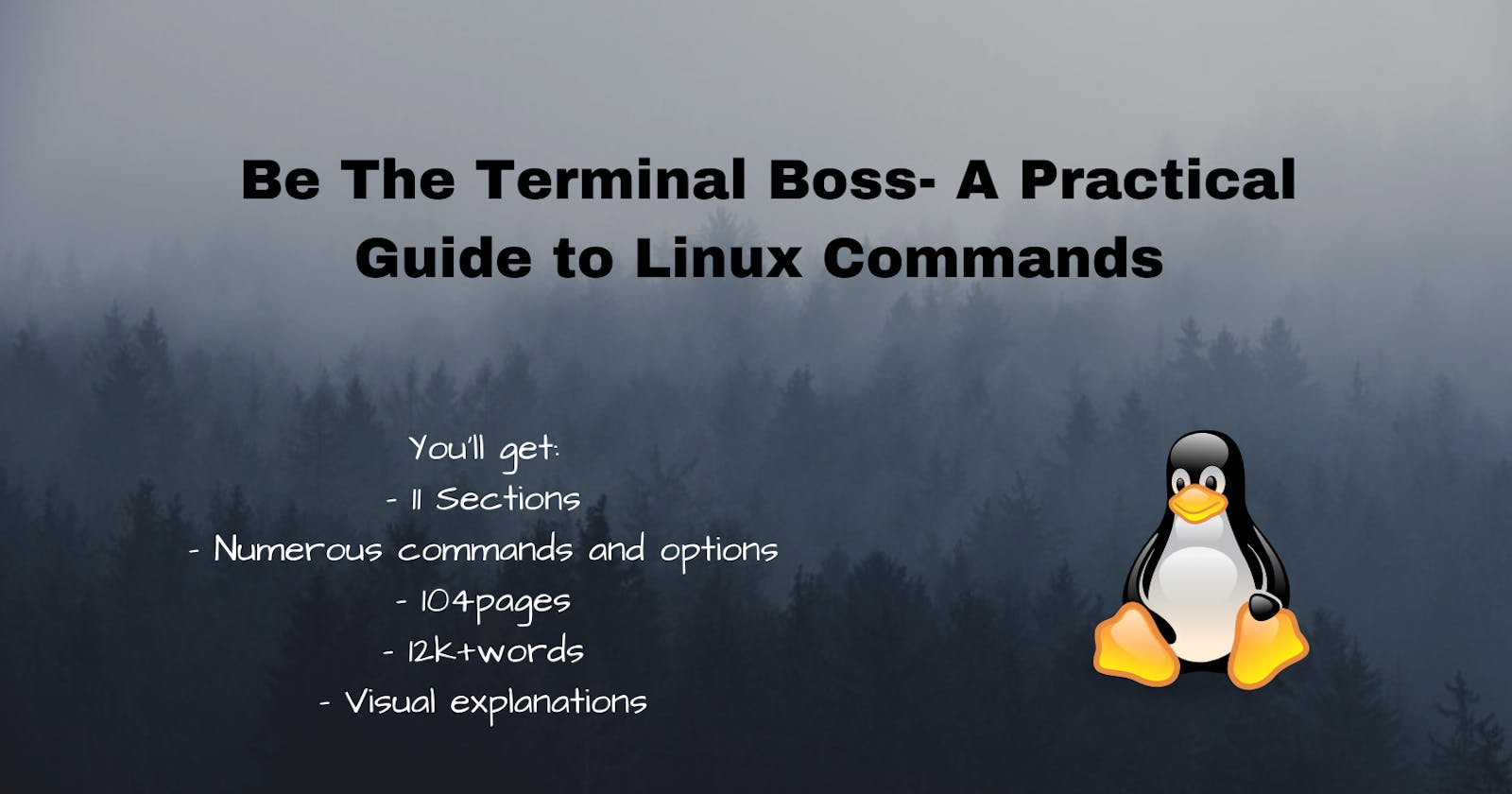 Introducing my first eBook: "Be The Terminal Boss"