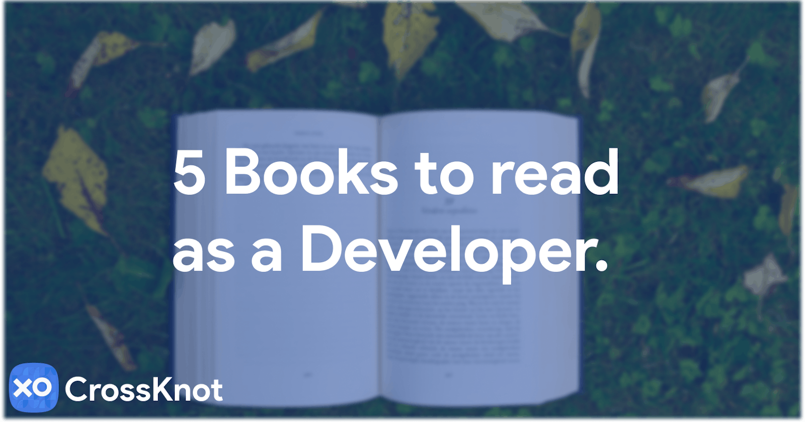 5 Books to read as a developer.