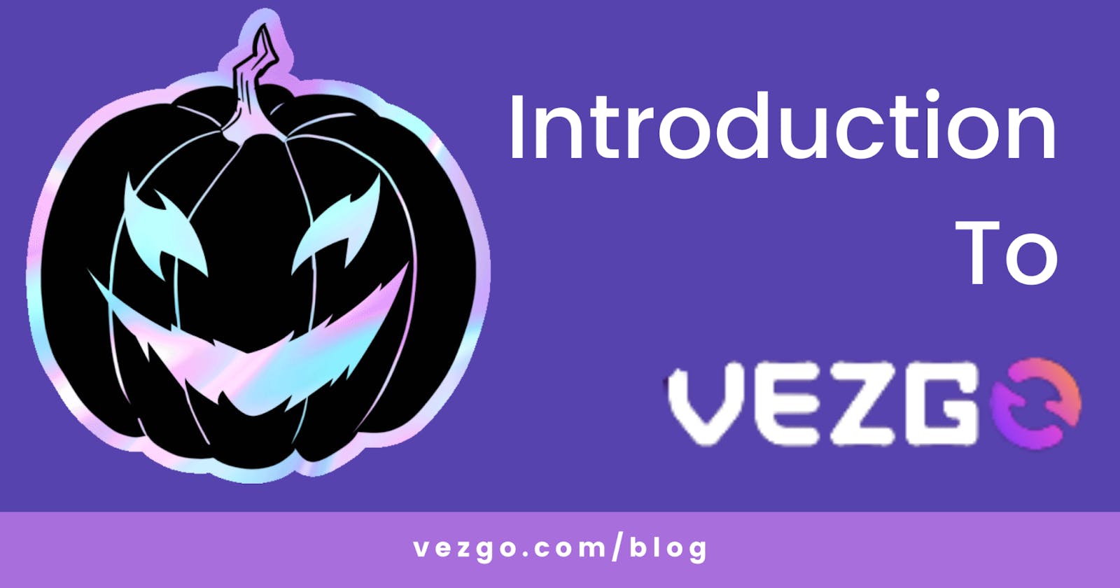 A Quick Guide to Vezgo.