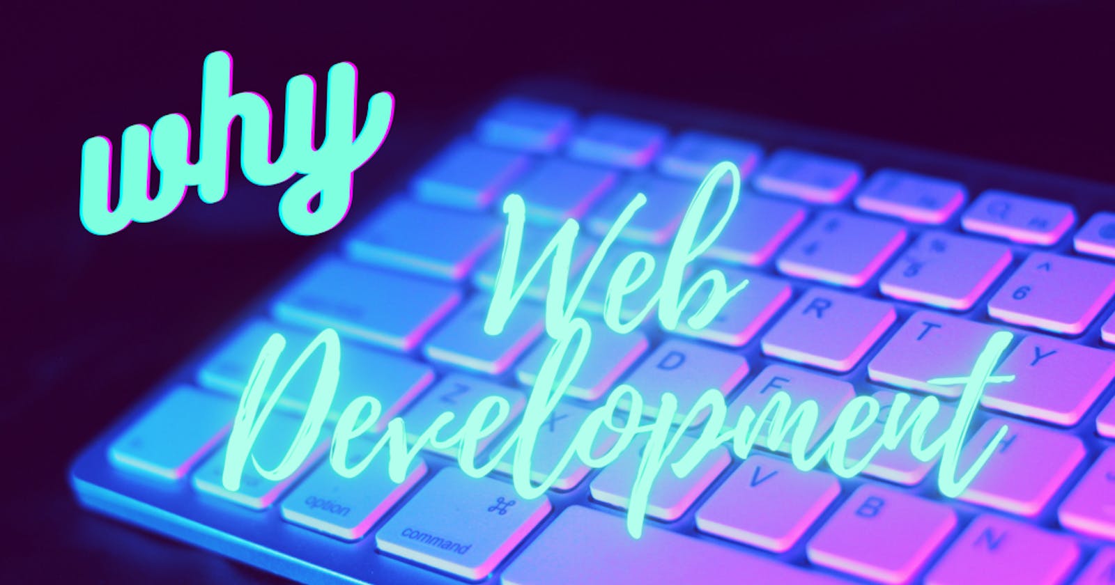 Why I choose Web Development?