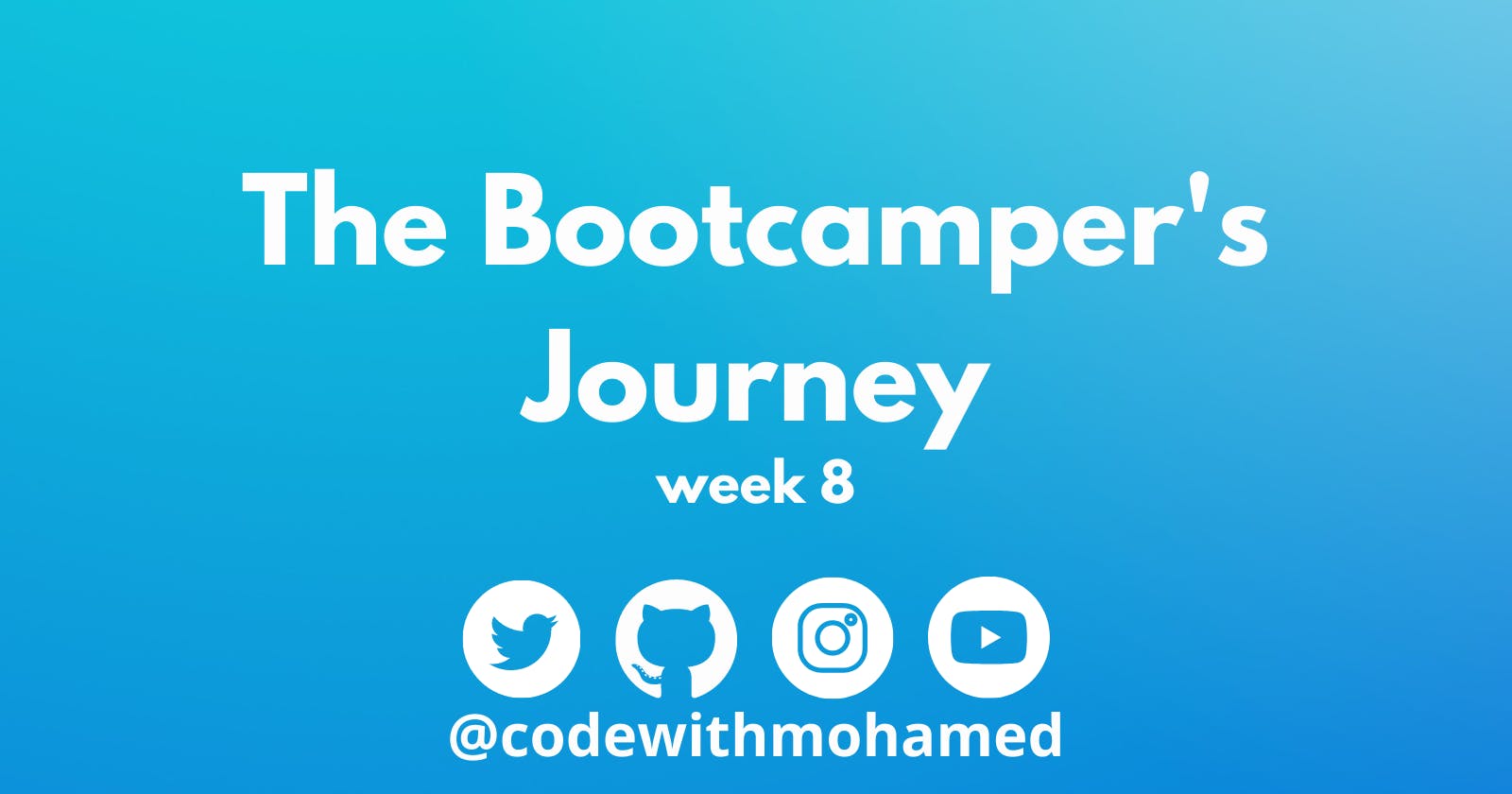 The BootCamper's Journey: Week 8
