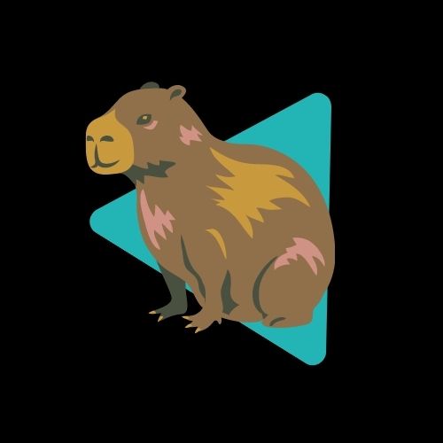 Capivara de Programa´s Report