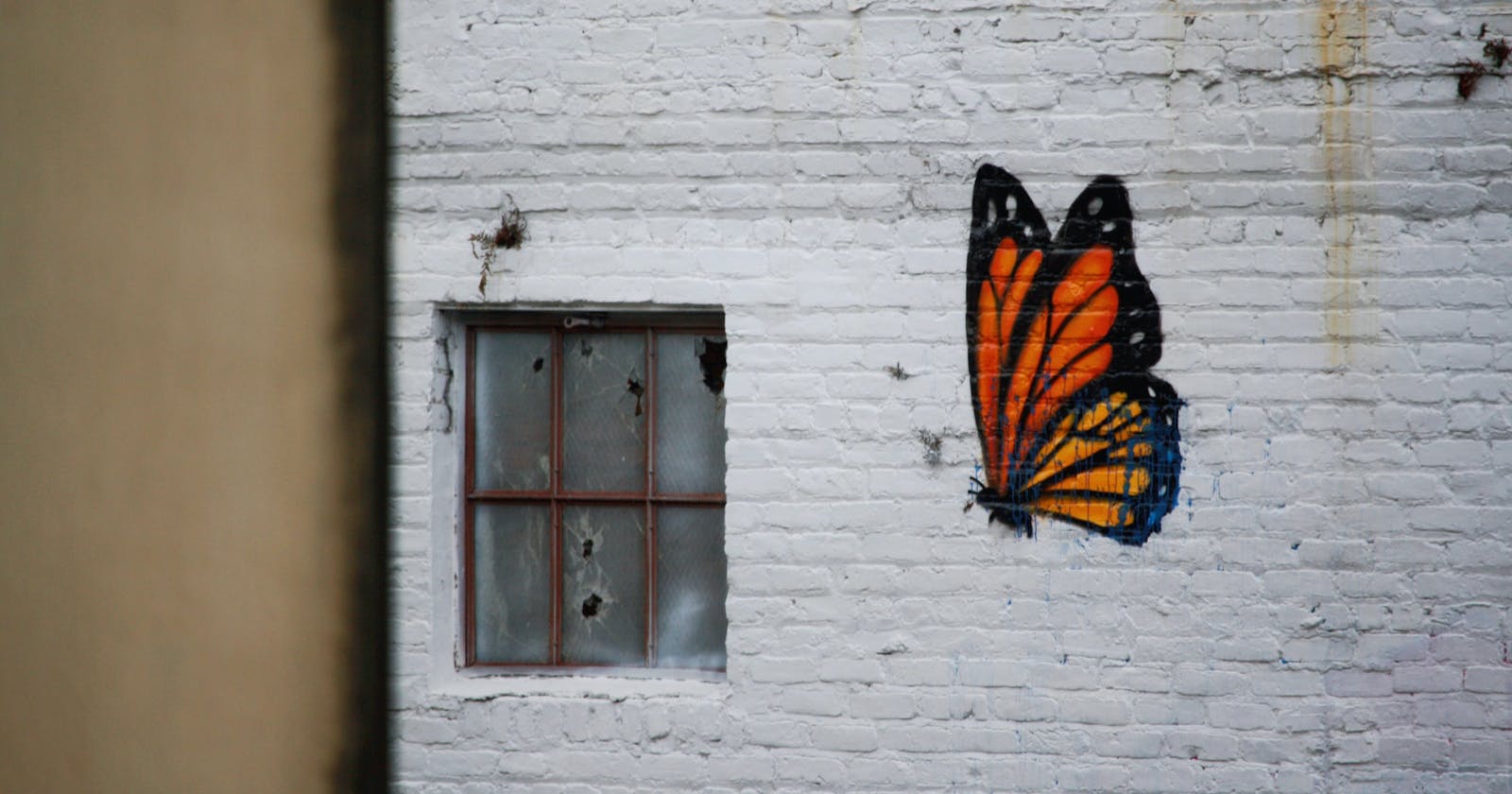 Broken Windows & Butterflies