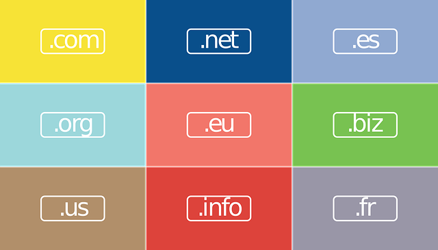 boxes showing common domain name extensions like .com .org