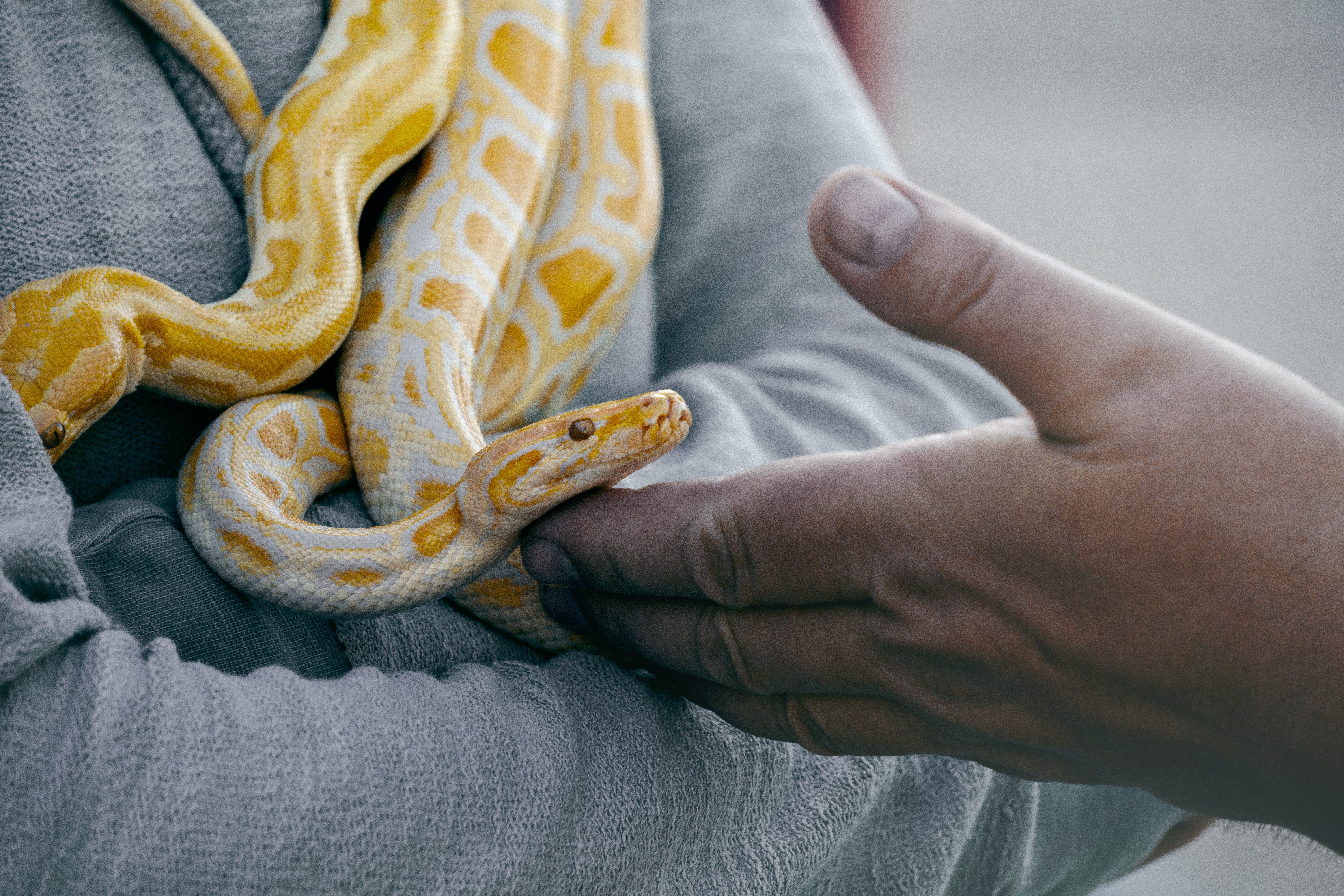 Python for DevOps: Chapter1 - Introduction