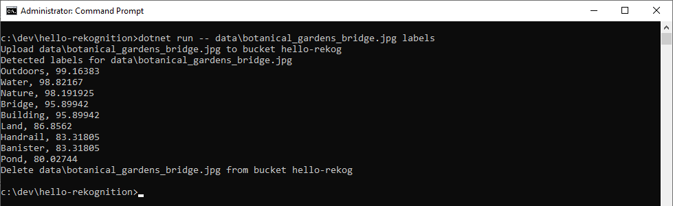 dotnet-run_labels_bridge.png