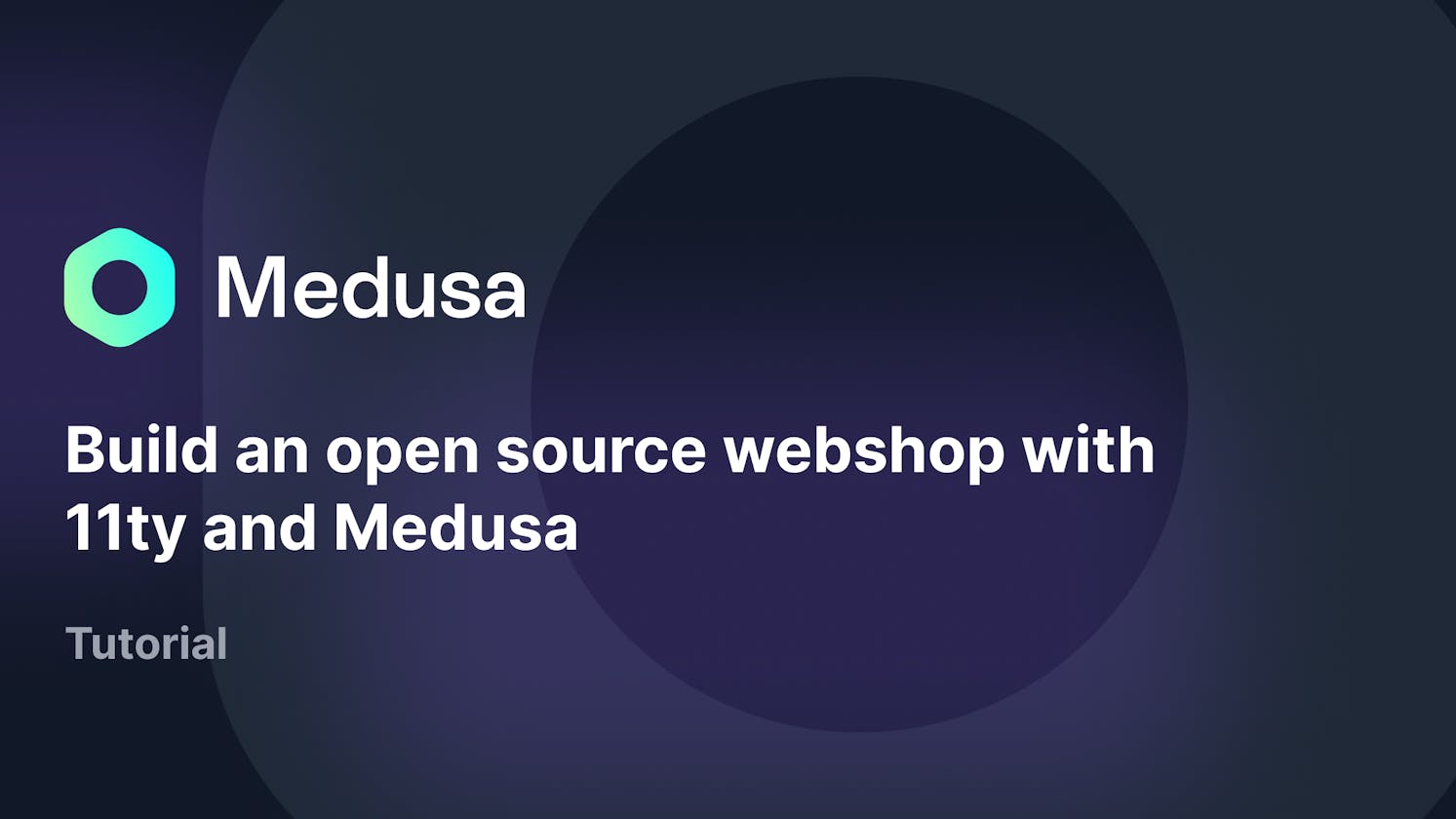 Build an open source webshop with 11ty and Medusa