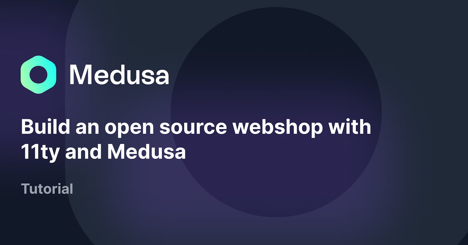 Build an open source webshop with 11ty and Medusa