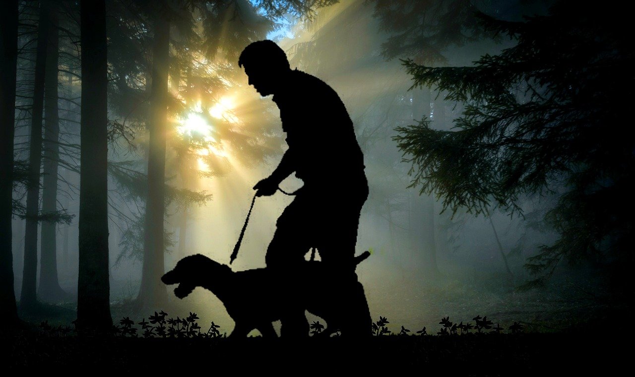 A picture of a man walking a dog in a forest at dawn