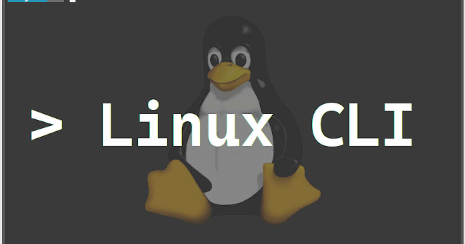 Introduction to Linux Commands | Get Started with using Linux Commands