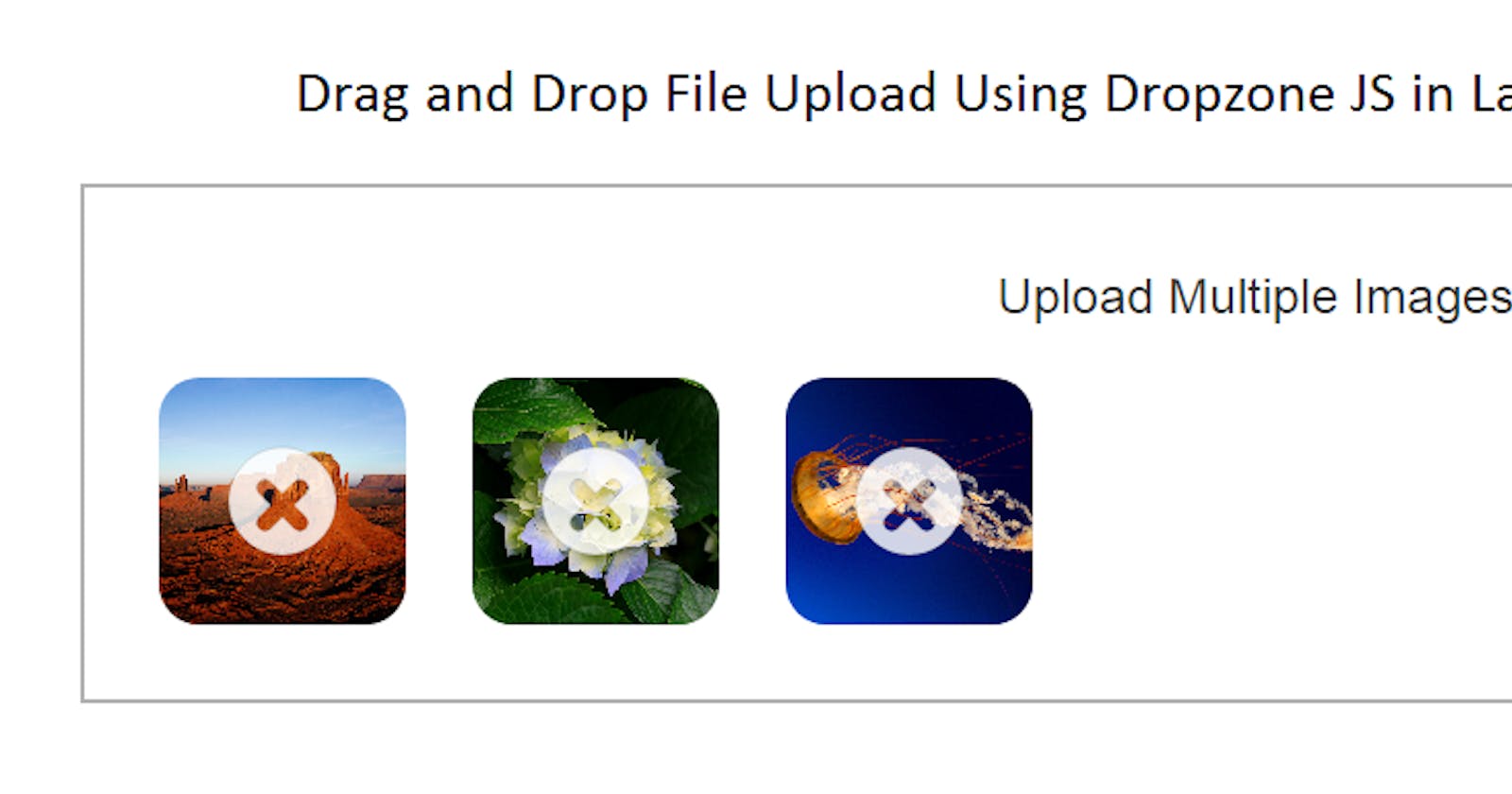 Drag and Drop File Upload Using Dropzone JS in Laravel 8
