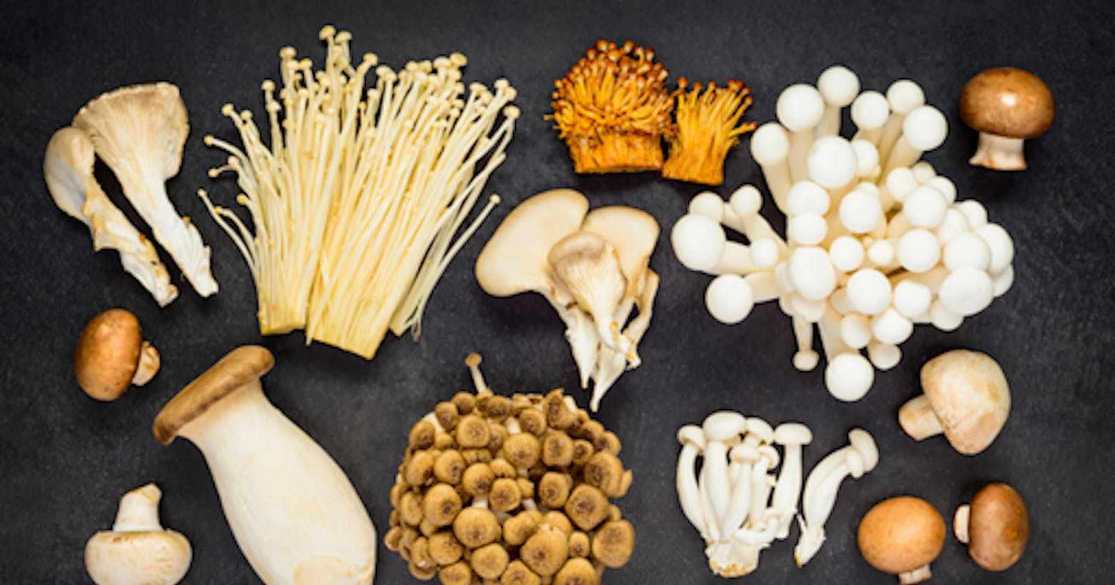 3 Mushroom Adaptogen Blends Used For Optimal Health