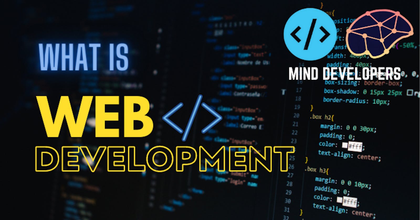 What is Web Development ?