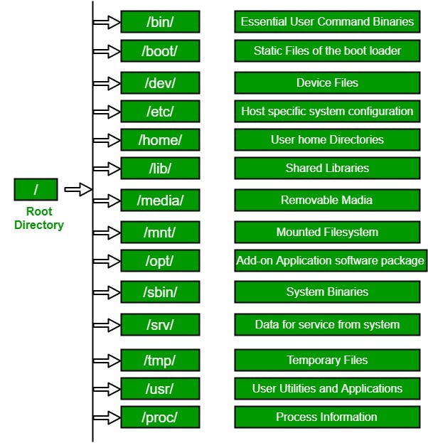Linux Filesystem. Source:[Linux File Hierarchy Structure - GeeksforGeeks](https://www.geeksforgeeks.org/linux-file-hierarchy-structure/)