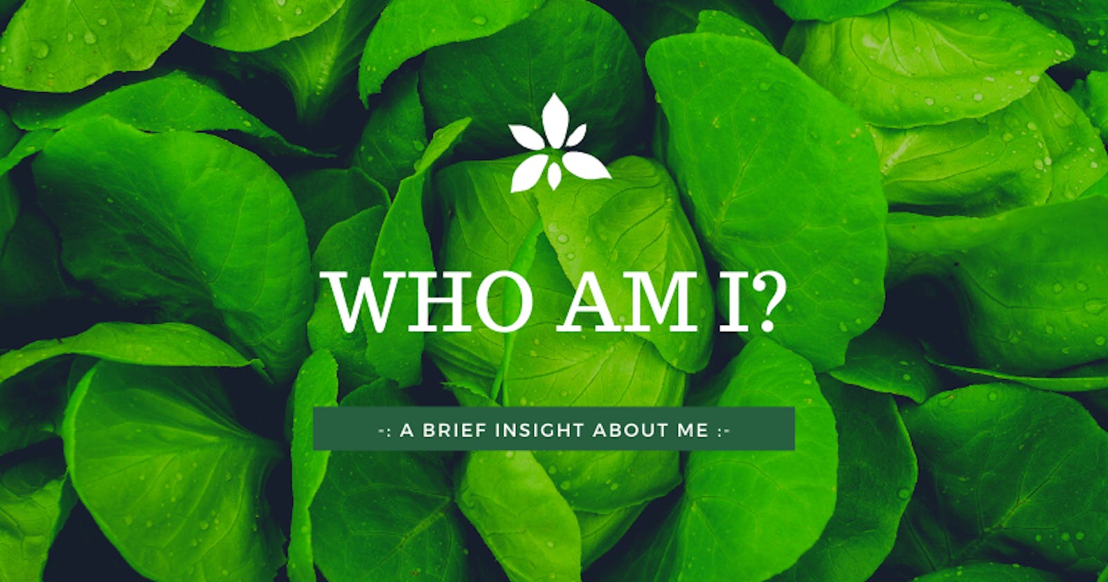 hello hashnode : Who am I?