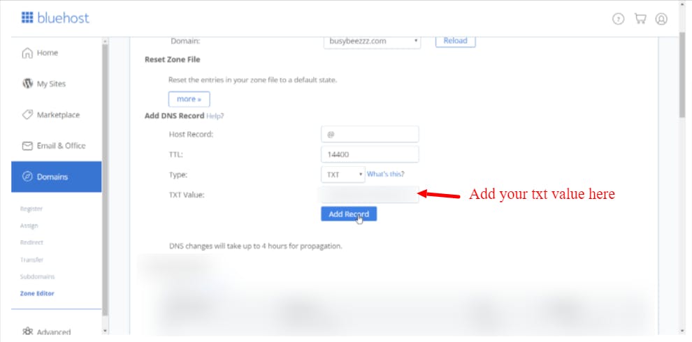 How to Verify Domain Ownership with a DNS Text File in Blue Host or GoDaddy - Freestone Digital Medi.png