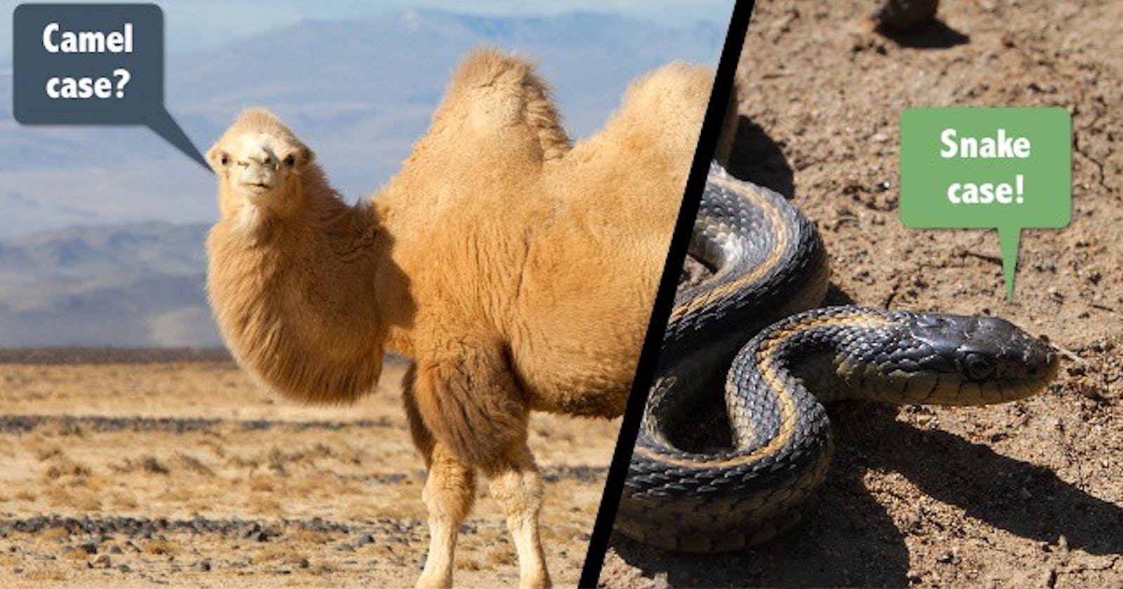 Configuring a camelCase to snake_case parser with Axios