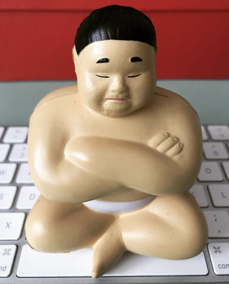 sumo.PNG