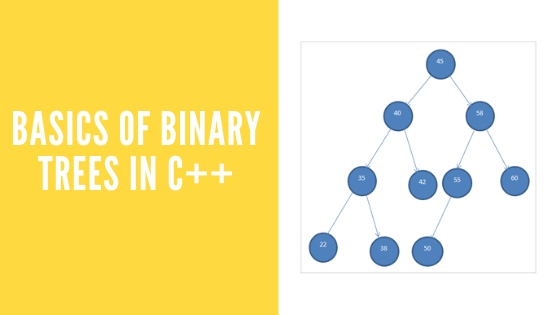 Beginners Guide To Binary Trees Basics Of Binary Trees   IiXV ISzy 