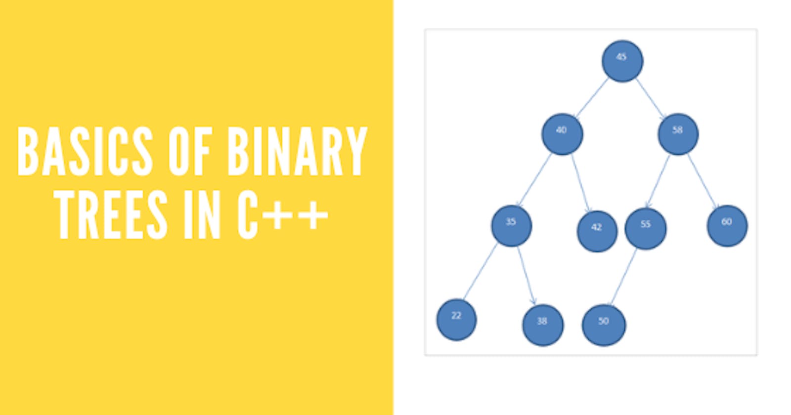 Beginners Guide to Binary Trees. Basics of Binary Trees