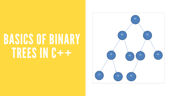 Beginners Guide to Binary Trees. Basics of Binary Trees