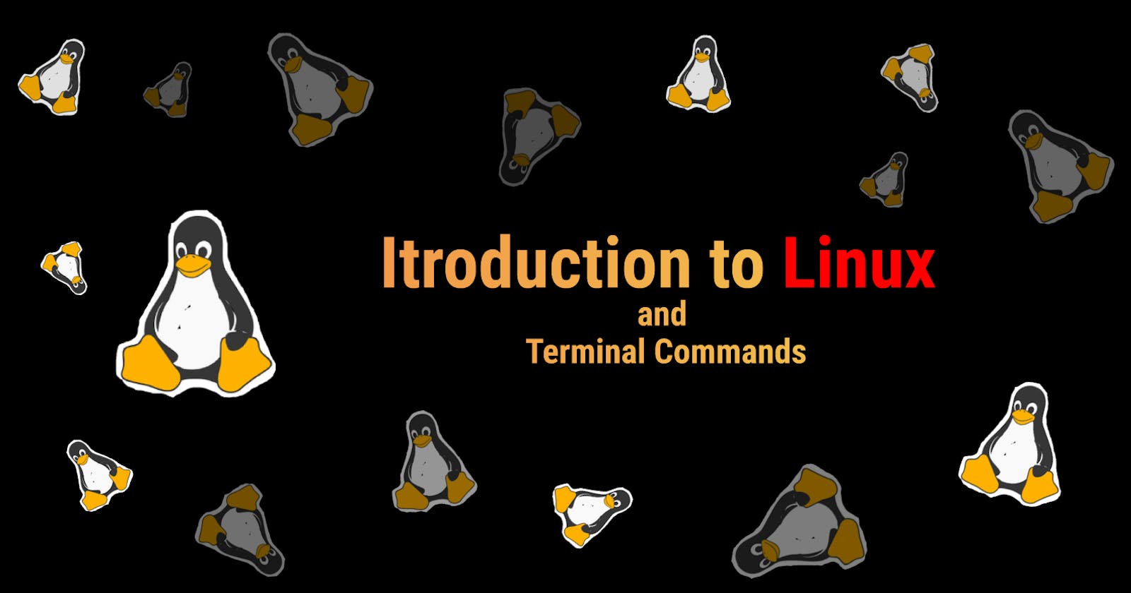 Basic Linux & Terminal Commands