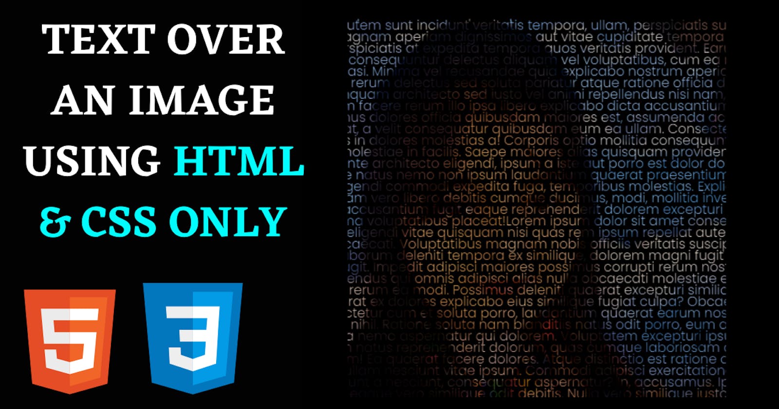 Text Overlay on an Image Using HTML & CSS