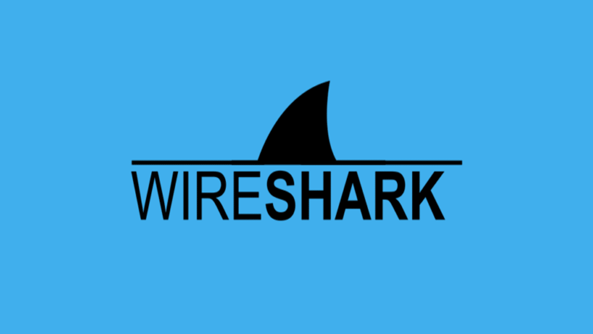 WireShark.png