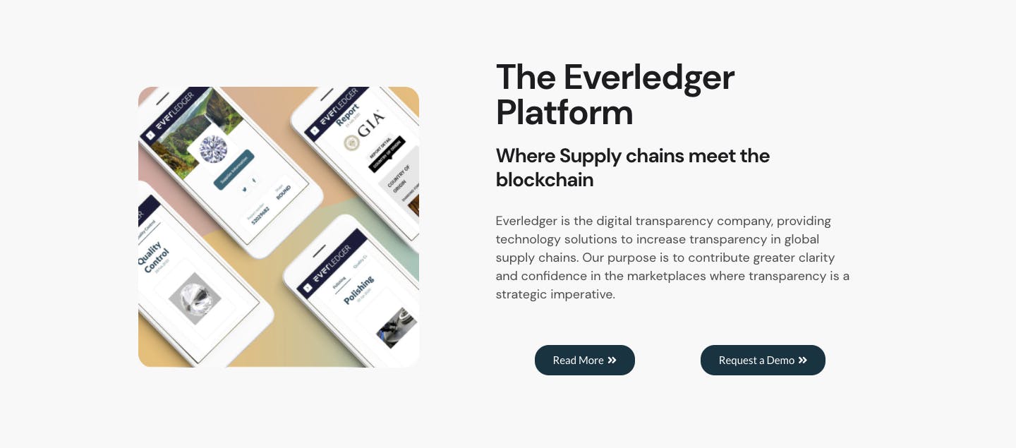 Everledger main page