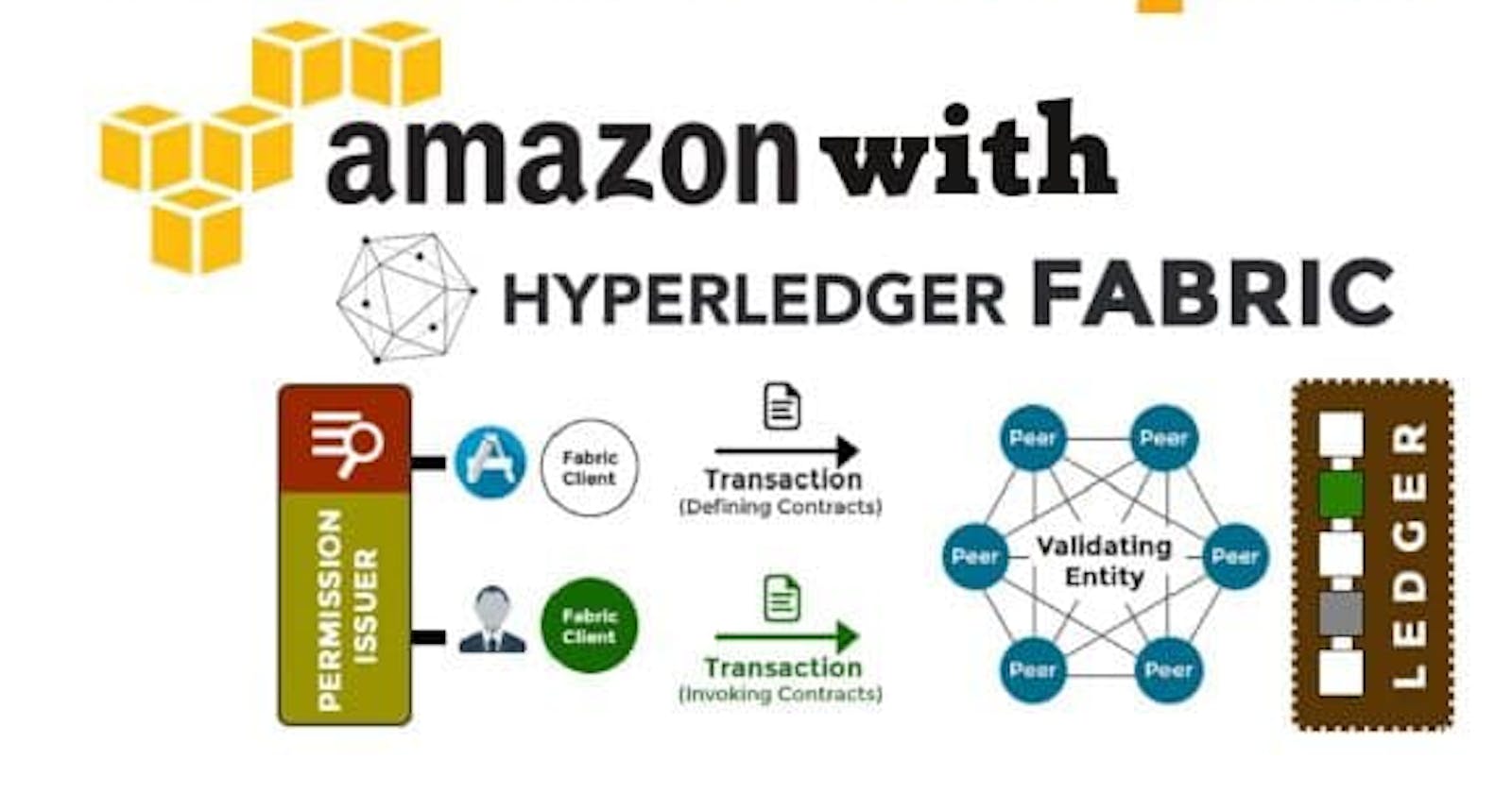 Blockchain DevOps on AWS with The Hyperledger Fabric Model and Golang (1)