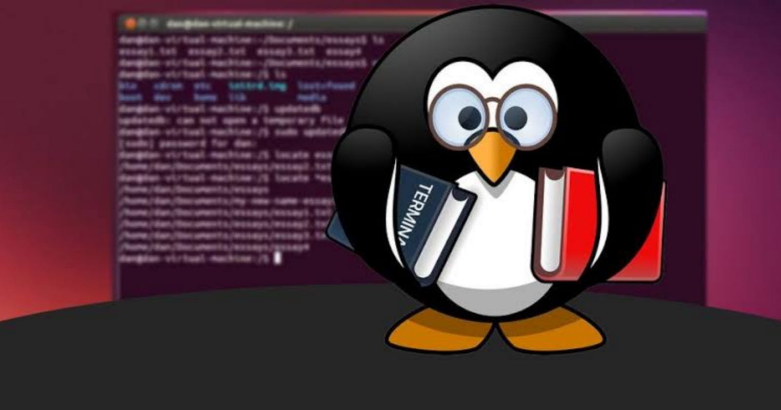 Introduction to Linux & Terminal Commands - Complete Blog for Beginners