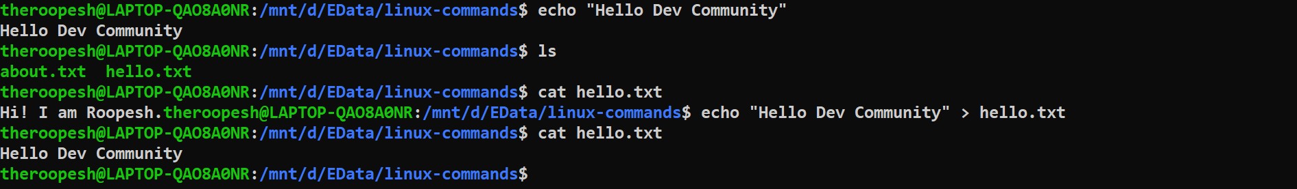 echo-write-command.jpg