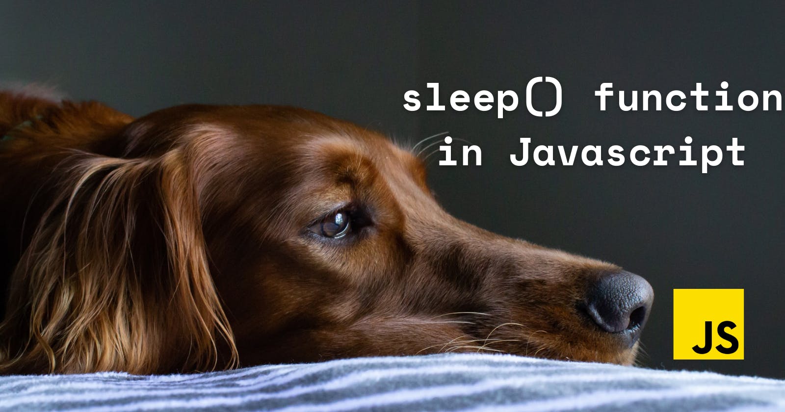 How can you implement the sleep() function in Javascript?