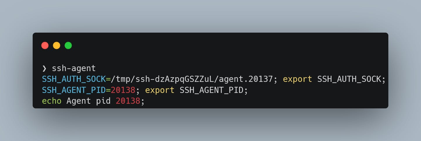 `ssh-agent` showing the path to the socket