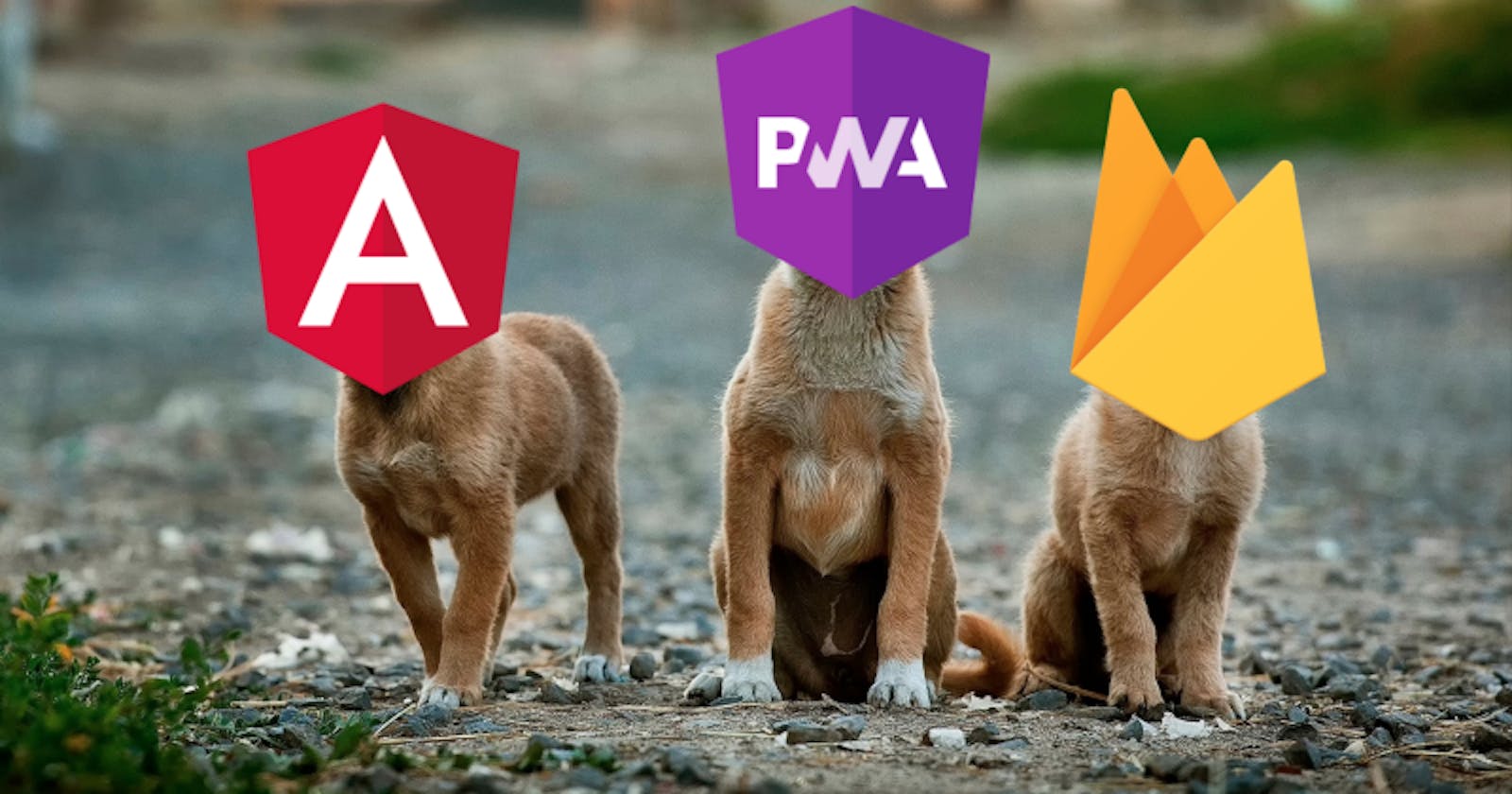 Build a production ready PWA with Angular and Firebase