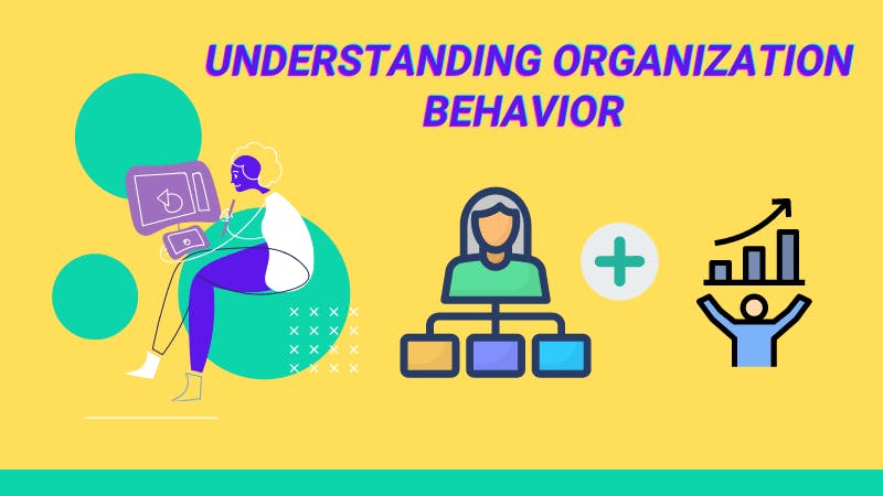 Organization Behavior | usama Insight.png