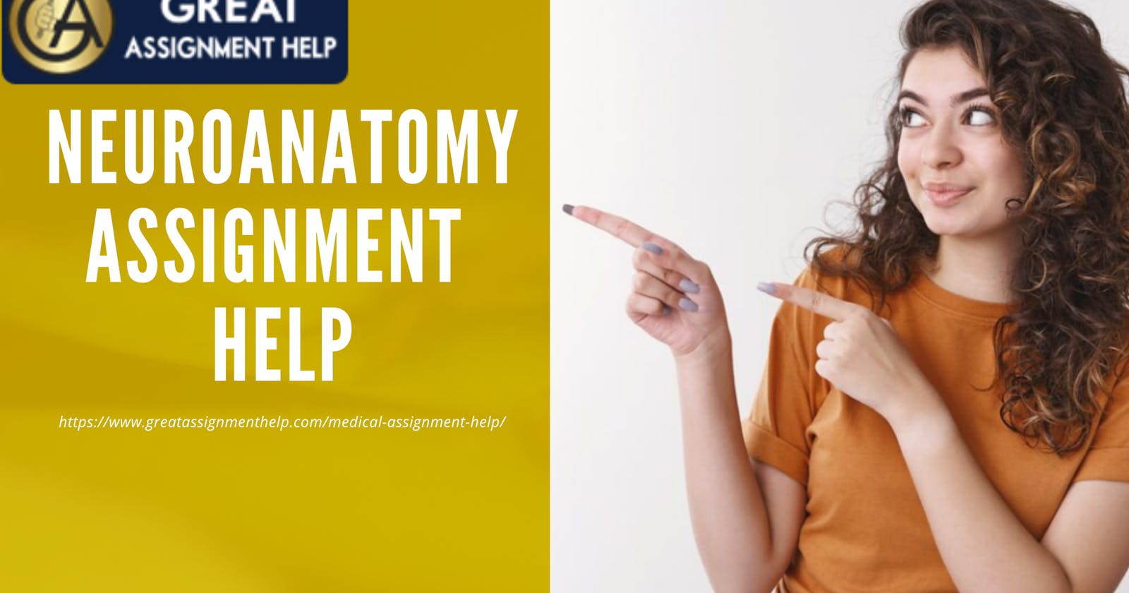 Get the Best Neuroanatomy Assignment Help in the USA